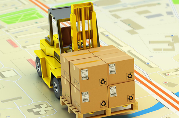 Logistics & Transfers